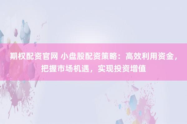 期权配资官网 小盘股配资策略：高效利用资金，把握市场机遇，实现投资增值