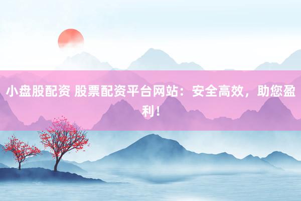 小盘股配资 股票配资平台网站：安全高效，助您盈利！