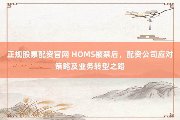 正规股票配资官网 HOMS被禁后，配资公司应对策略及业务转型之路