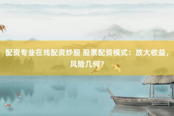 配资专业在线配资炒股 股票配资模式：放大收益，风险几何？