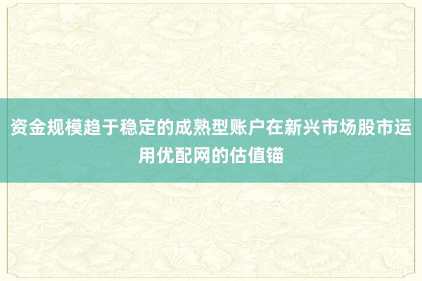 资金规模趋于稳定的成熟型账户在新兴市场股市运用优配网的估值锚