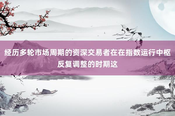 经历多轮市场周期的资深交易者在在指数运行中枢反复调整的时期这