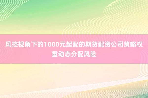 风控视角下的1000元起配的期货配资公司策略权重动态分配风险