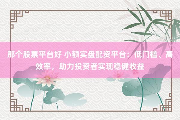 那个股票平台好 小额实盘配资平台：低门槛、高效率，助力投资者实现稳健收益