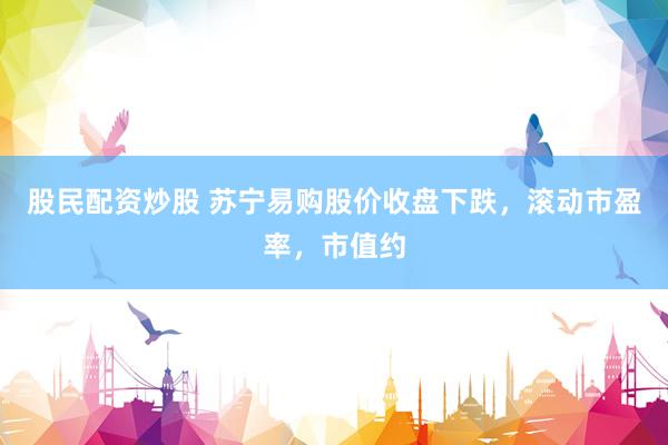 股民配资炒股 苏宁易购股价收盘下跌，滚动市盈率，市值约