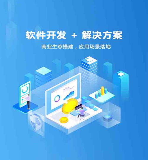 软件定制开发报价单app软件程序开发